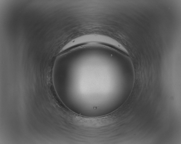 X0000056310030200509021549