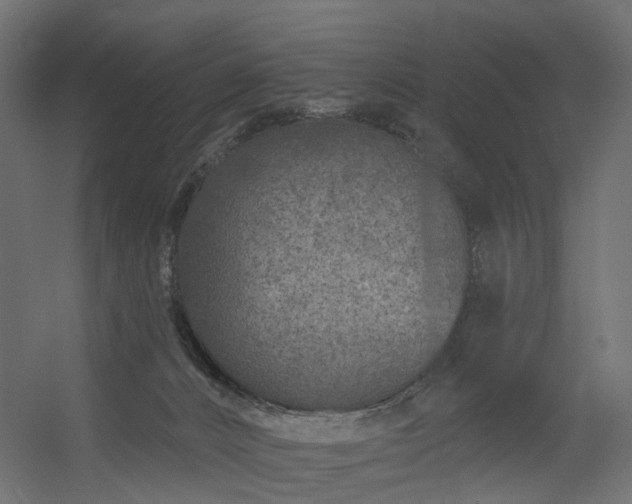 X0000056310032200509021548