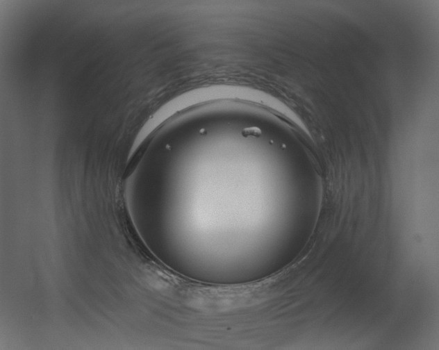 X0000056310033200509021548