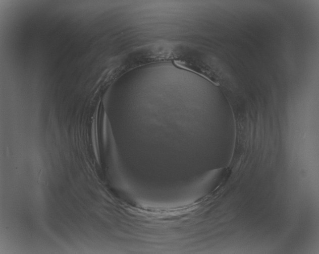 X0000056310035200509021548