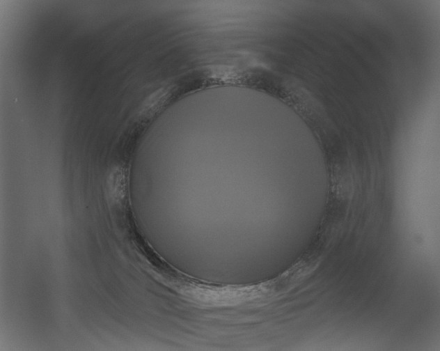 X0000056310036200509021548