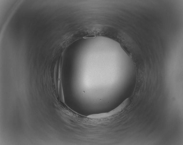X0000056310037200509021548