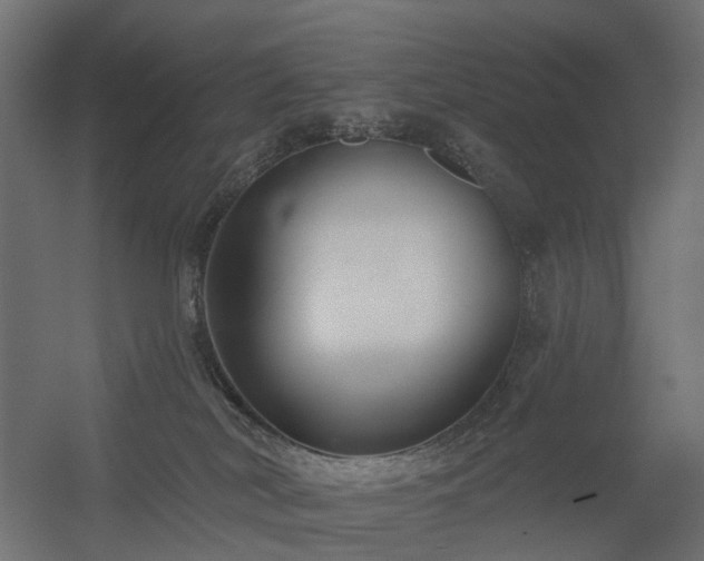 X0000056310038200509021548