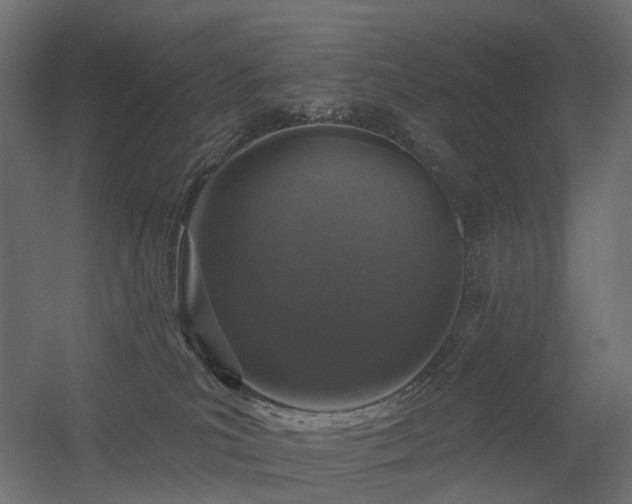 X0000056310039200509021548
