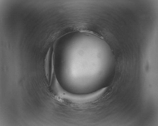 X0000056310041200509021548