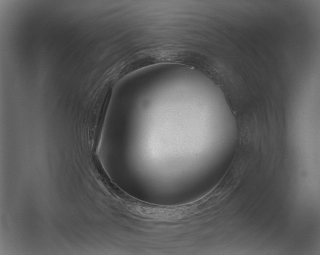 X0000056310044200509021548