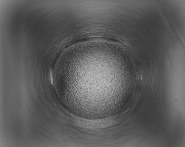 X0000056310046200509021548