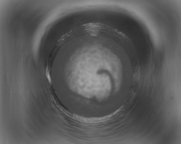 X0000056310047200509021548