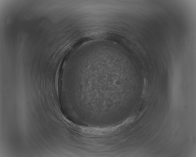 X0000056310048200509021548