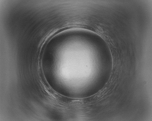 X0000056310050200509021547