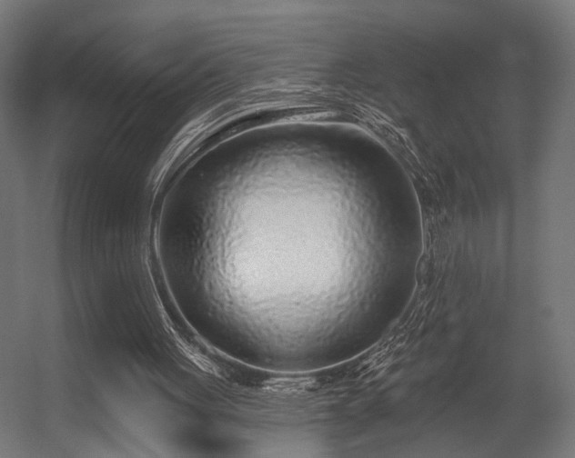 X0000056310051200509021547