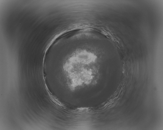 X0000056310052200509021547