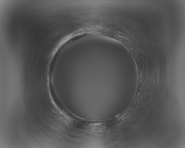 X0000056310054200509021547