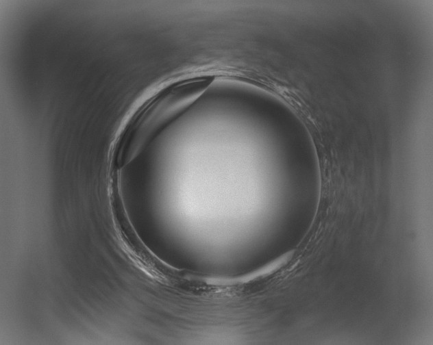 X0000056310056200509021548