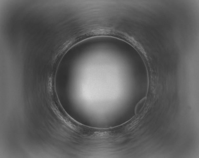 X0000056310057200509021548