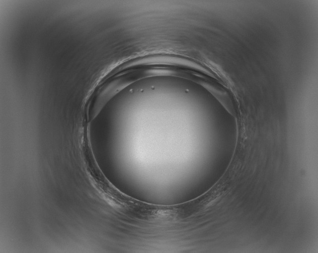 X0000056310060200509021548