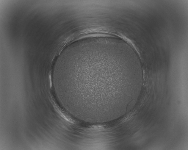 X0000056310061200509021548
