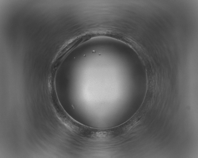 X0000056310064200509021548