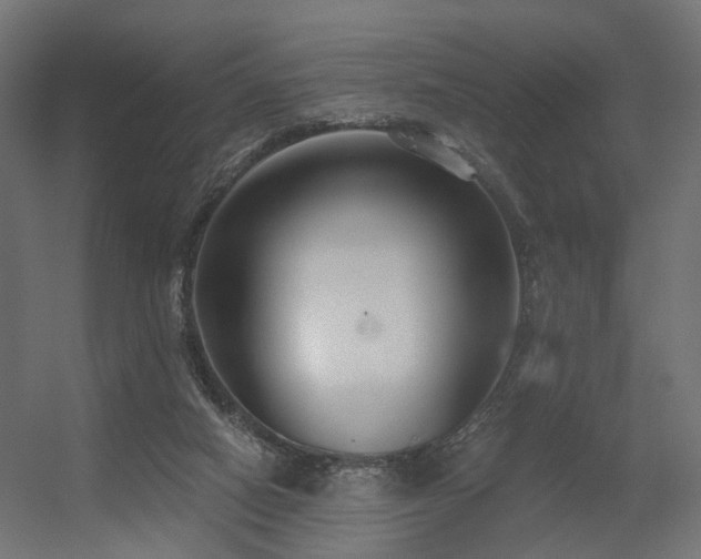 X0000056310066200509021548