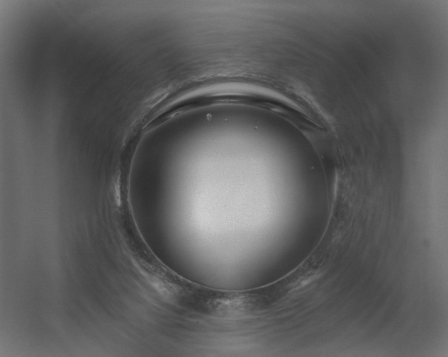 X0000056310068200509021548