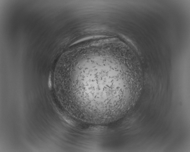 X0000056310069200509021548