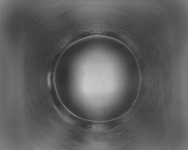 X0000056310070200509021548