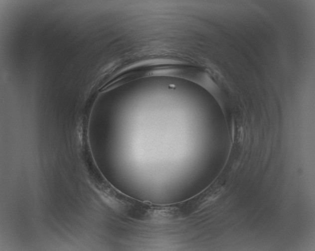 X0000056310072200509021548