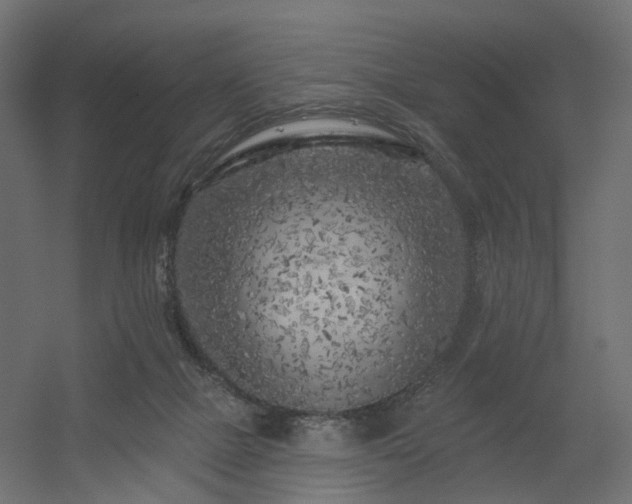 X0000056310073200509021548