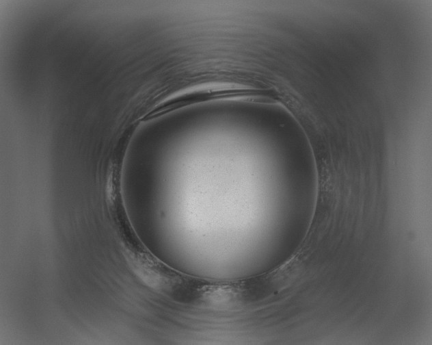 X0000056310074200509021548
