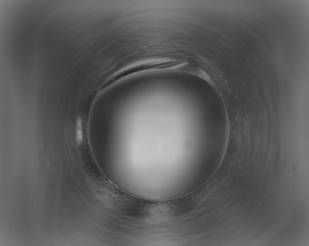 X0000056310075200509021548