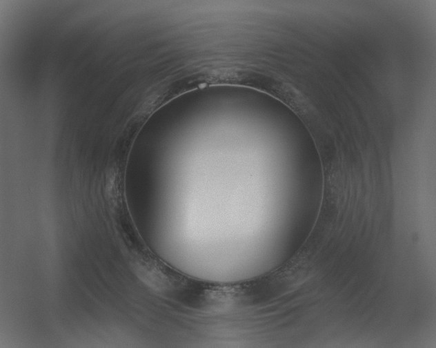 X0000056310079200509021548
