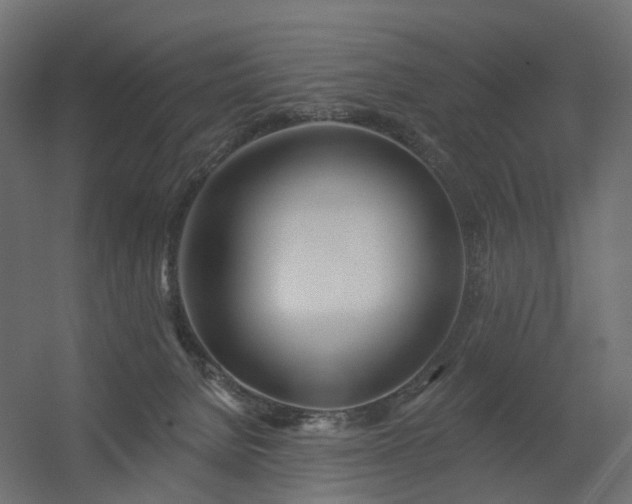 X0000056310080200509021548