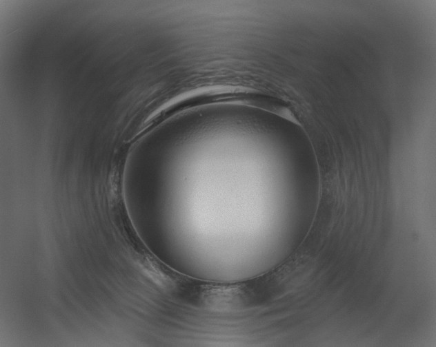 X0000056310081200509021548