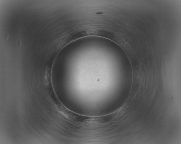 X0000056310082200509021548