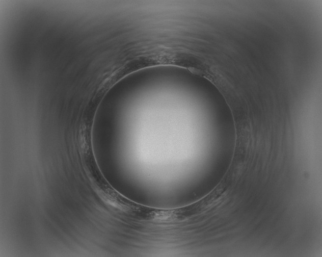 X0000056310088200509021548