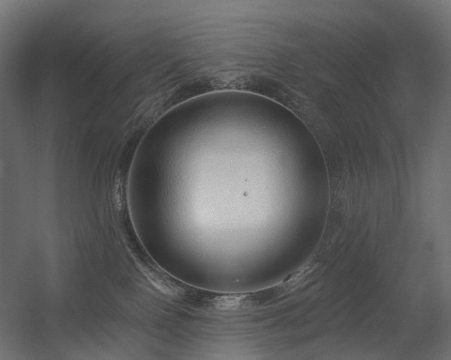 X0000056310090200509021548