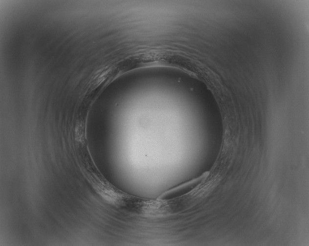 X0000056310096200509021548