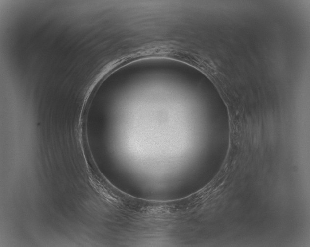 X0000056310100200509021547