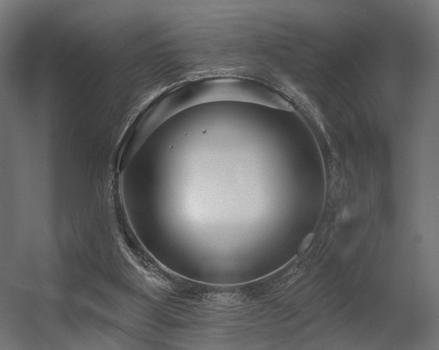 X0000056310107200509021547
