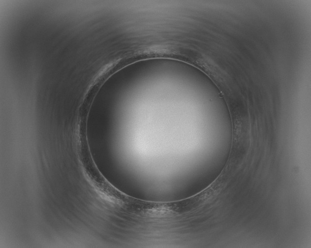 X0000056310112200509021547