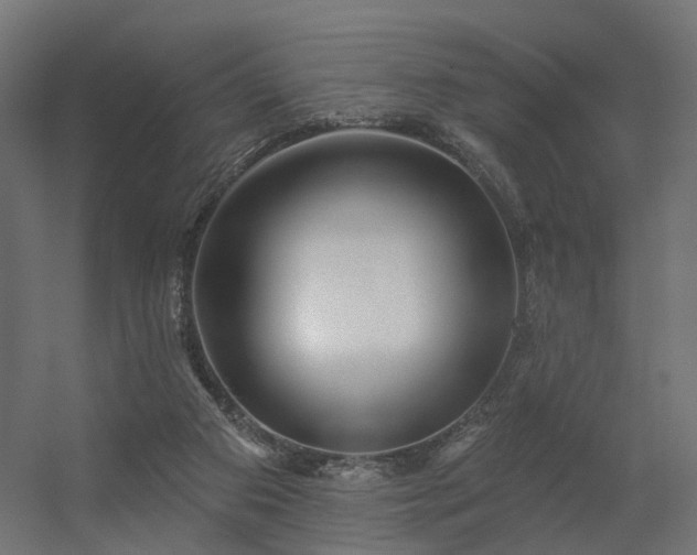 X0000056310113200509021547
