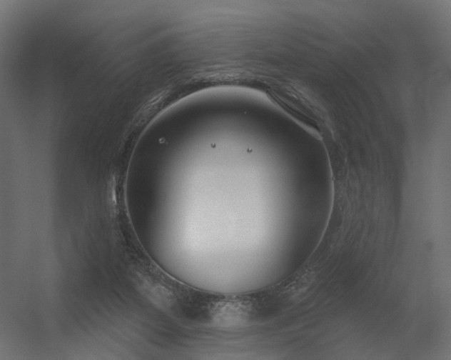 X0000056310115200509021547