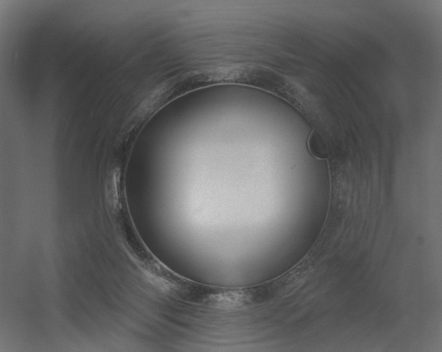 X0000056310118200509021547