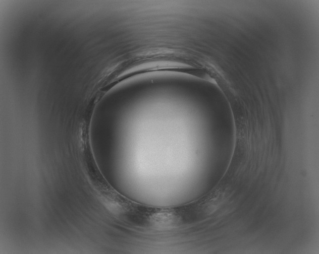 X0000056310119200509021547