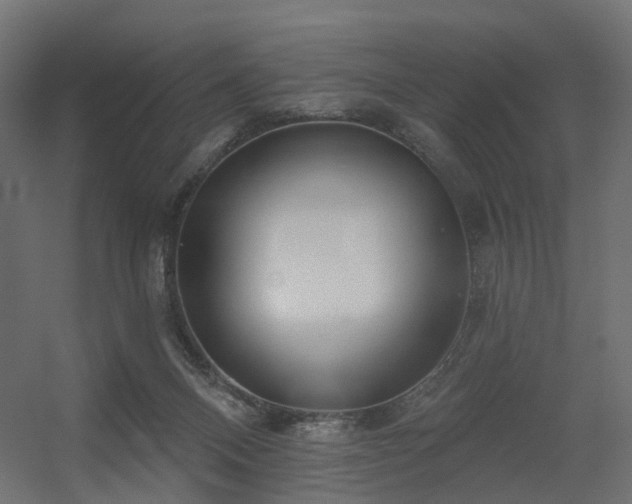 X0000056310120200509021547