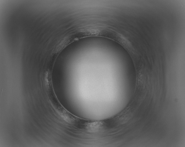 X0000056310122200509021547