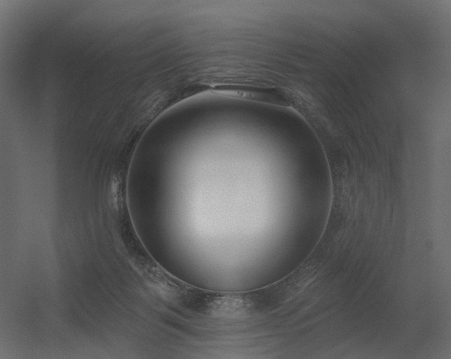 X0000056310123200509021547
