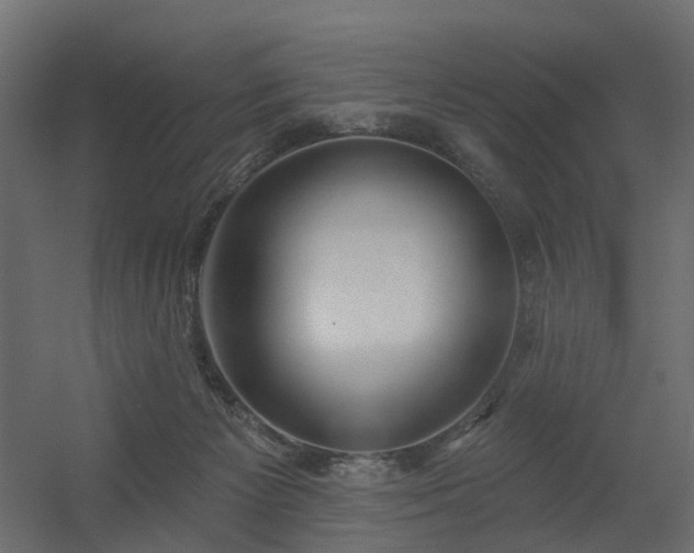 X0000056310125200509021547