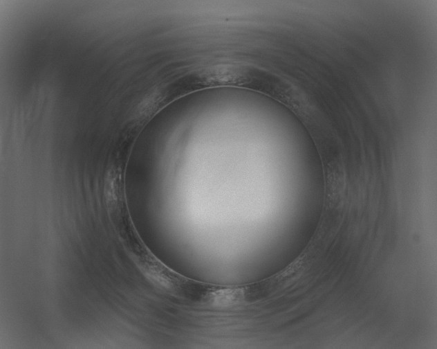 X0000056310126200509021547