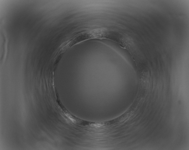 X0000056310139200509021547